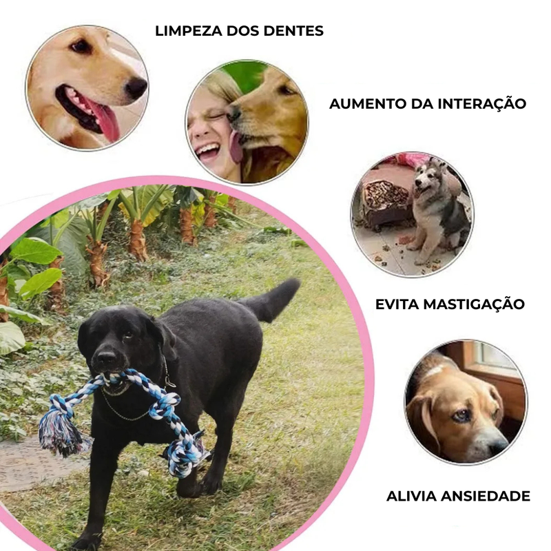 Corda de Algodão para Cães | Brinquedo de Mordida