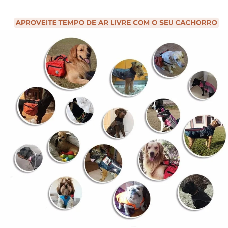 Peitoral com Mochila Removível p/ Cães | Refletivo