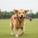 Corda de Algodão para Cães | Brinquedo de Mordida
