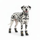 Botinhas Impermeáveis para Cães 4Pç | Antiderrapante