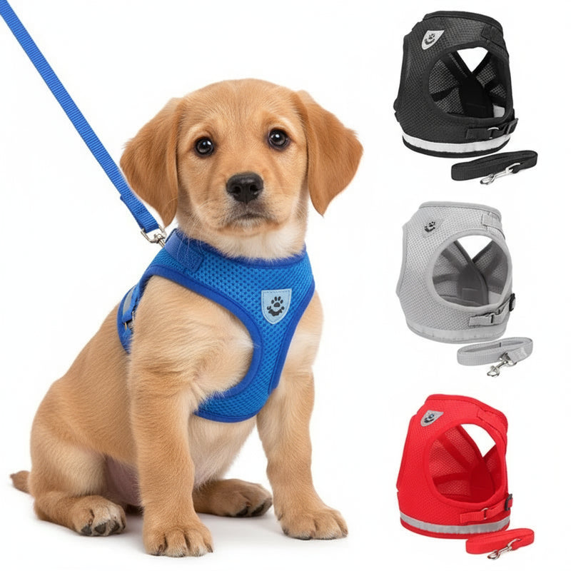 Peitoral Reflexivo + Guia p/ Gato e Cão Pequeno