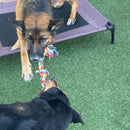 Corda de Algodão para Cães | Brinquedo de Mordida