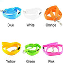 Guia de LED Recarregável p/ Cachorros – 120 cm (7 cores)