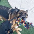 Corda de Algodão para Cães | Brinquedo de Mordida