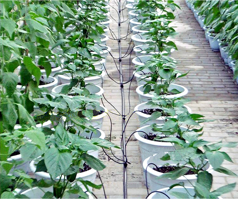 Seta Gotejadora para Irrigação por Gotejamento – 20 un • 1–3 L/h