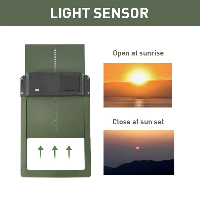 Porta Automática para Galinheiro | Sensor de Luz