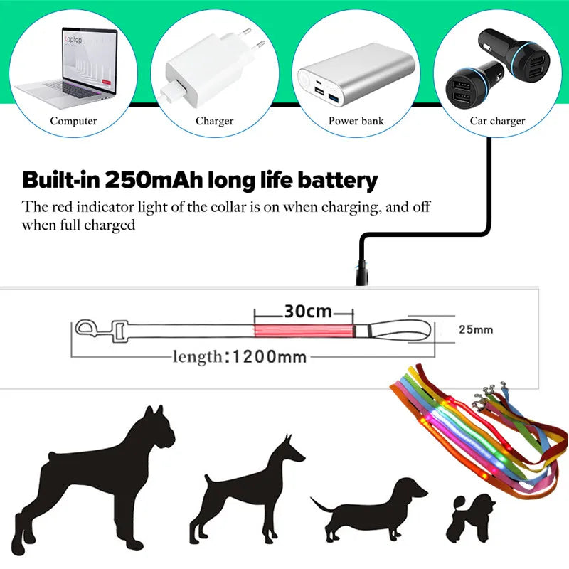 Guia de LED Recarregável p/ Cachorros – 120 cm (7 cores)