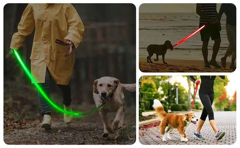 Guia de LED Recarregável p/ Cachorros – 120 cm (7 cores)