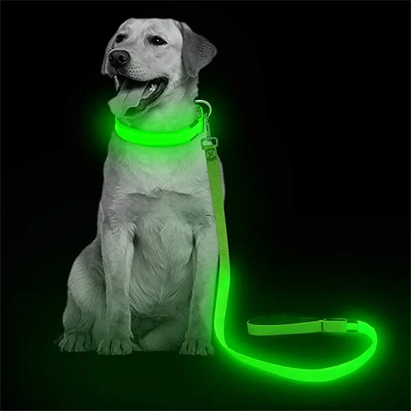 Guia de LED Recarregável p/ Cachorros – 120 cm (7 cores)